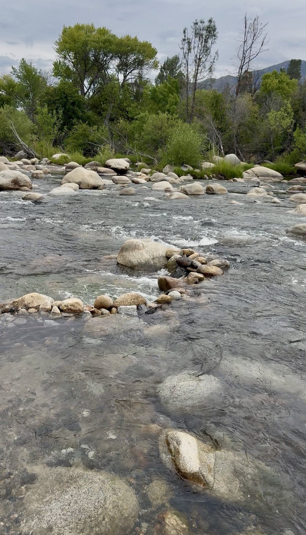 The Kern River running over granite boulders below Camp 3, with green trees and mountains under a cloudy sky